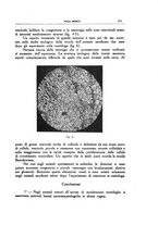 giornale/CFI0354704/1939/unico/00000871