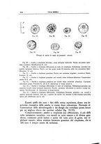 giornale/CFI0354704/1939/unico/00001094