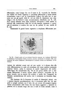 giornale/CFI0354704/1939/unico/00001099