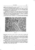 giornale/CFI0354704/1939/unico/00001197