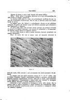 giornale/CFI0354704/1939/unico/00001199