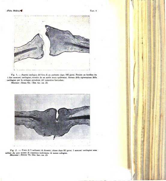 Folia medica periodico trimensile di patologia e clinica medica