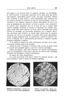 giornale/CFI0354704/1941/unico/00000423