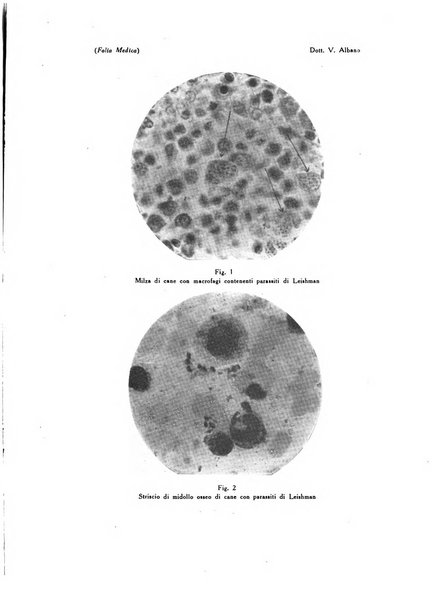 Folia medica periodico trimensile di patologia e clinica medica