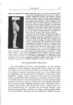 giornale/CFI0354704/1942/unico/00000677