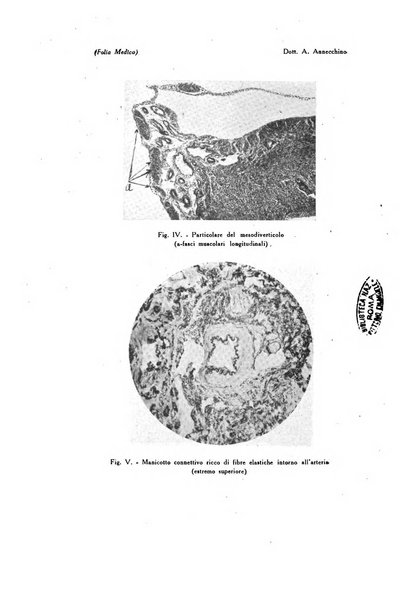 Folia medica periodico trimensile di patologia e clinica medica