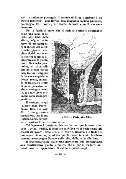 Frate Francesco organo ufficiale del Comitato religioso per le onoranze a s. Francesco di Assisi nel 7. centenario della sua morte