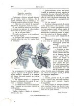 giornale/CFI0355004/1887-1888/unico/00000286