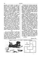 giornale/CFI0355004/1889-1890/unico/00000528