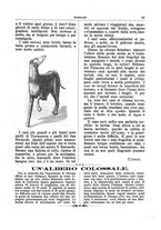giornale/CFI0355004/1891-1892/unico/00000133