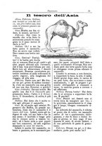 giornale/CFI0355004/1893-1894/unico/00000059