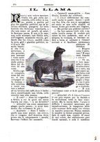 giornale/CFI0355004/1893-1894/unico/00000410