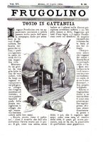 giornale/CFI0355004/1893-1894/unico/00000465