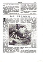 giornale/CFI0355004/1893-1894/unico/00000467