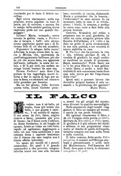 Frugolino giornale dei fanciulli