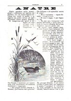 giornale/CFI0355004/1894-1895/unico/00000011