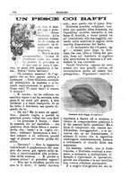 giornale/CFI0355004/1894-1895/unico/00000312