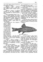 giornale/CFI0355004/1894-1895/unico/00000313