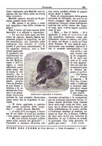 giornale/CFI0355004/1894-1895/unico/00000383