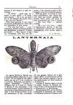 giornale/CFI0355004/1895-1896/unico/00000023