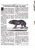 giornale/CFI0355004/1895-1896/unico/00000071