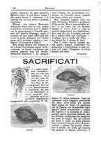 giornale/CFI0355004/1895-1896/unico/00000310