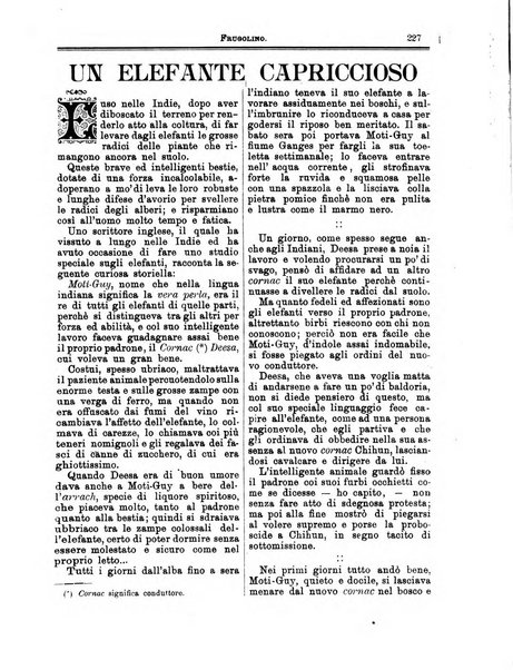 Frugolino giornale dei fanciulli