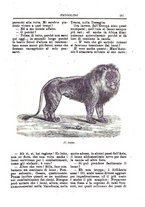 giornale/CFI0355004/1896-1897/unico/00000271