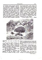 giornale/CFI0355004/1896-1897/unico/00000295