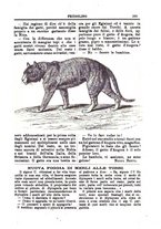 giornale/CFI0355004/1896-1897/unico/00000407