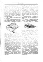 giornale/CFI0355004/1896-1897/unico/00000539