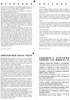 giornale/CFI0355142/1936/unico/00000357