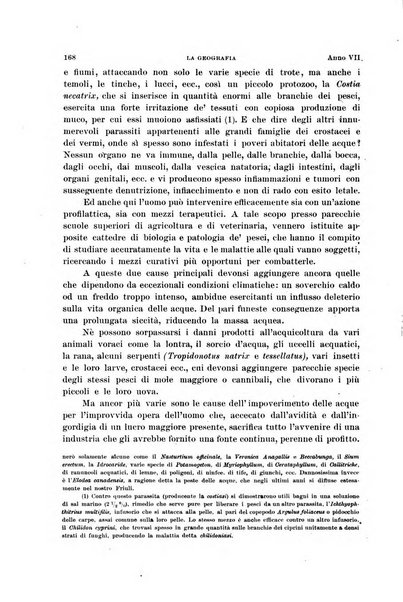 La geografia comunicazioni dell'Istituto geografico De Agostini