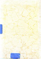 giornale/CFI0355708/1924/unico/00000002