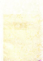 giornale/CFI0355708/1925/unico/00000003