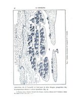 giornale/CFI0355708/1930/unico/00000046