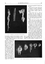 giornale/CFI0355748/1932-1934/unico/00000012