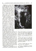 giornale/CFI0355748/1932-1934/unico/00000125