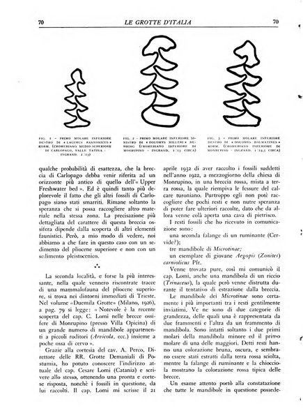 Le grotte d'Italia organo ufficiale dell'azienda autonoma di Stato delle R. Grotte demaniali di Postumia