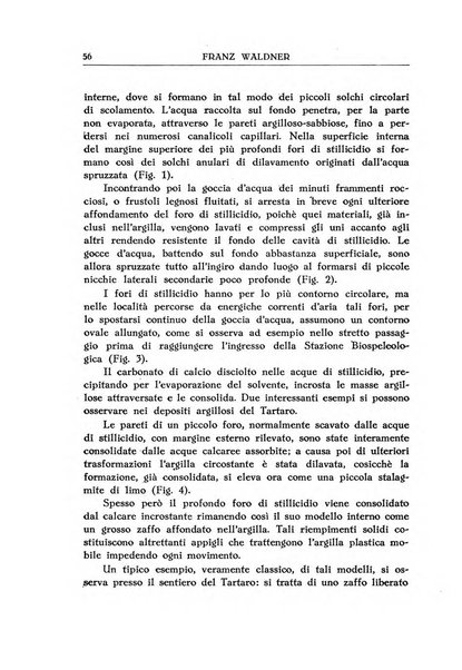 Le grotte d'Italia organo ufficiale dell'azienda autonoma di Stato delle R. Grotte demaniali di Postumia