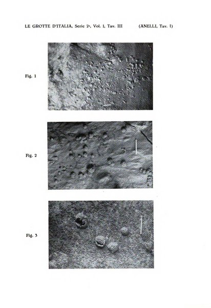 Le grotte d'Italia organo ufficiale dell'azienda autonoma di Stato delle R. Grotte demaniali di Postumia