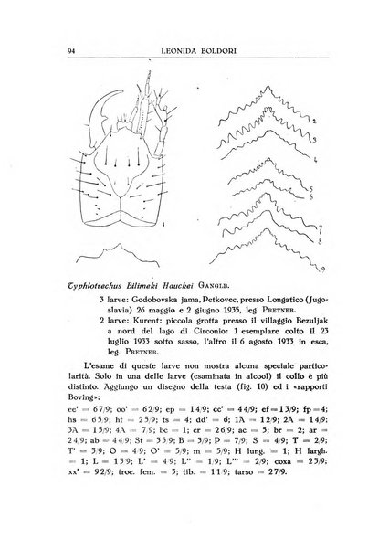 Le grotte d'Italia organo ufficiale dell'azienda autonoma di Stato delle R. Grotte demaniali di Postumia