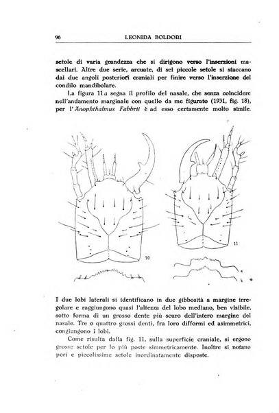 Le grotte d'Italia organo ufficiale dell'azienda autonoma di Stato delle R. Grotte demaniali di Postumia