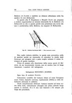 giornale/CFI0355748/1936/unico/00000114