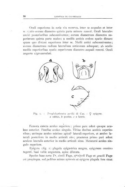 Le grotte d'Italia organo ufficiale dell'azienda autonoma di Stato delle R. Grotte demaniali di Postumia