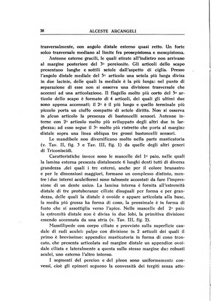 Le grotte d'Italia organo ufficiale dell'azienda autonoma di Stato delle R. Grotte demaniali di Postumia