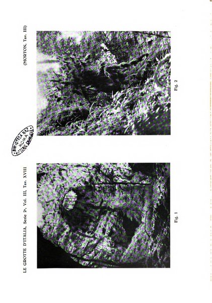 Le grotte d'Italia organo ufficiale dell'azienda autonoma di Stato delle R. Grotte demaniali di Postumia