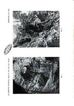 giornale/CFI0355748/1938-1944/unico/00000109