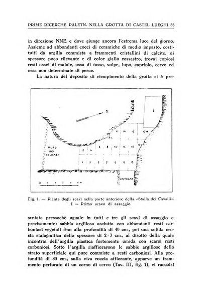 Le grotte d'Italia organo ufficiale dell'azienda autonoma di Stato delle R. Grotte demaniali di Postumia