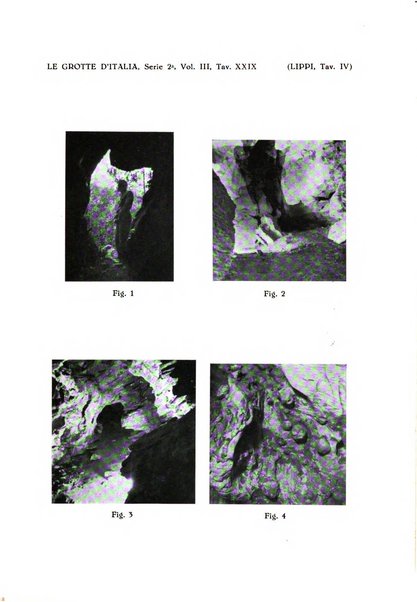 Le grotte d'Italia organo ufficiale dell'azienda autonoma di Stato delle R. Grotte demaniali di Postumia